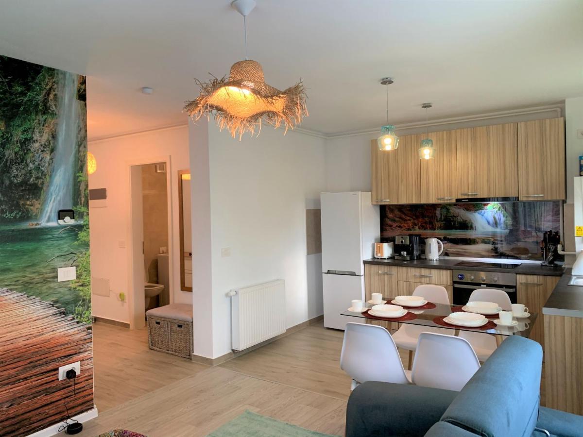 Bwa Zen Apartment Brasov Luaran gambar